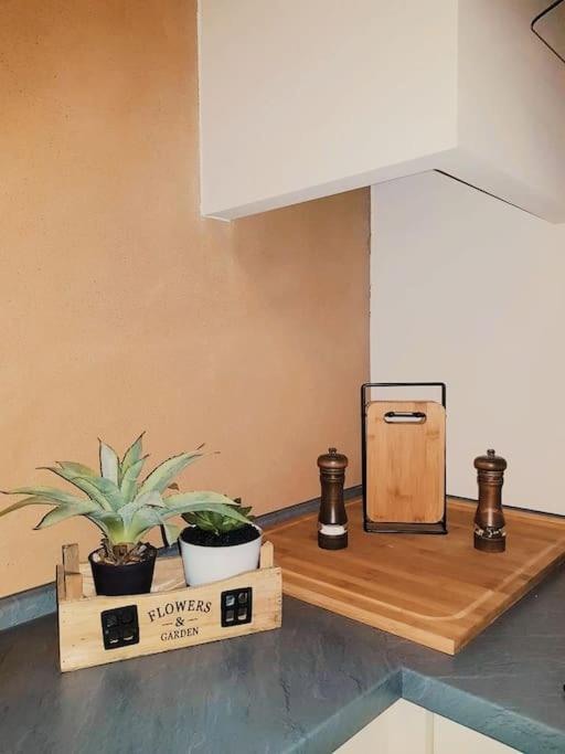 Komfortables Apartment Im Zentrum Erfurts Bagian luar foto